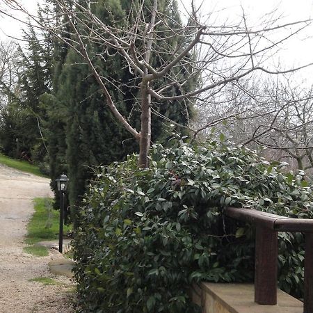 Hotel Agriturismo Le Valli Acuto Exteriér fotografie