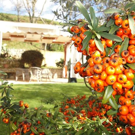 Hotel Agriturismo Le Valli Acuto Exteriér fotografie