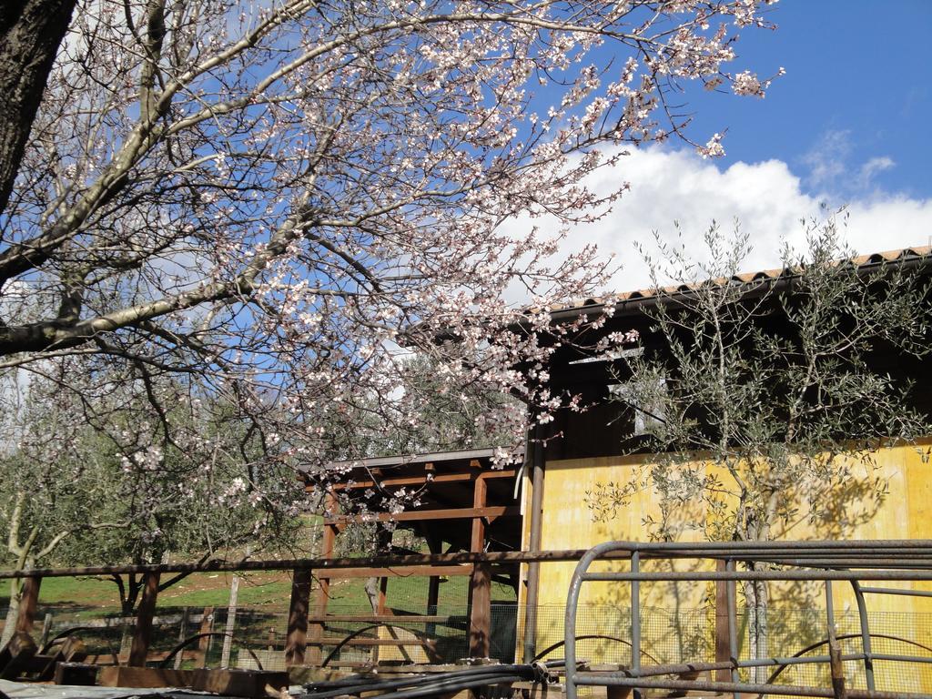 Hotel Agriturismo Le Valli Acuto Exteriér fotografie